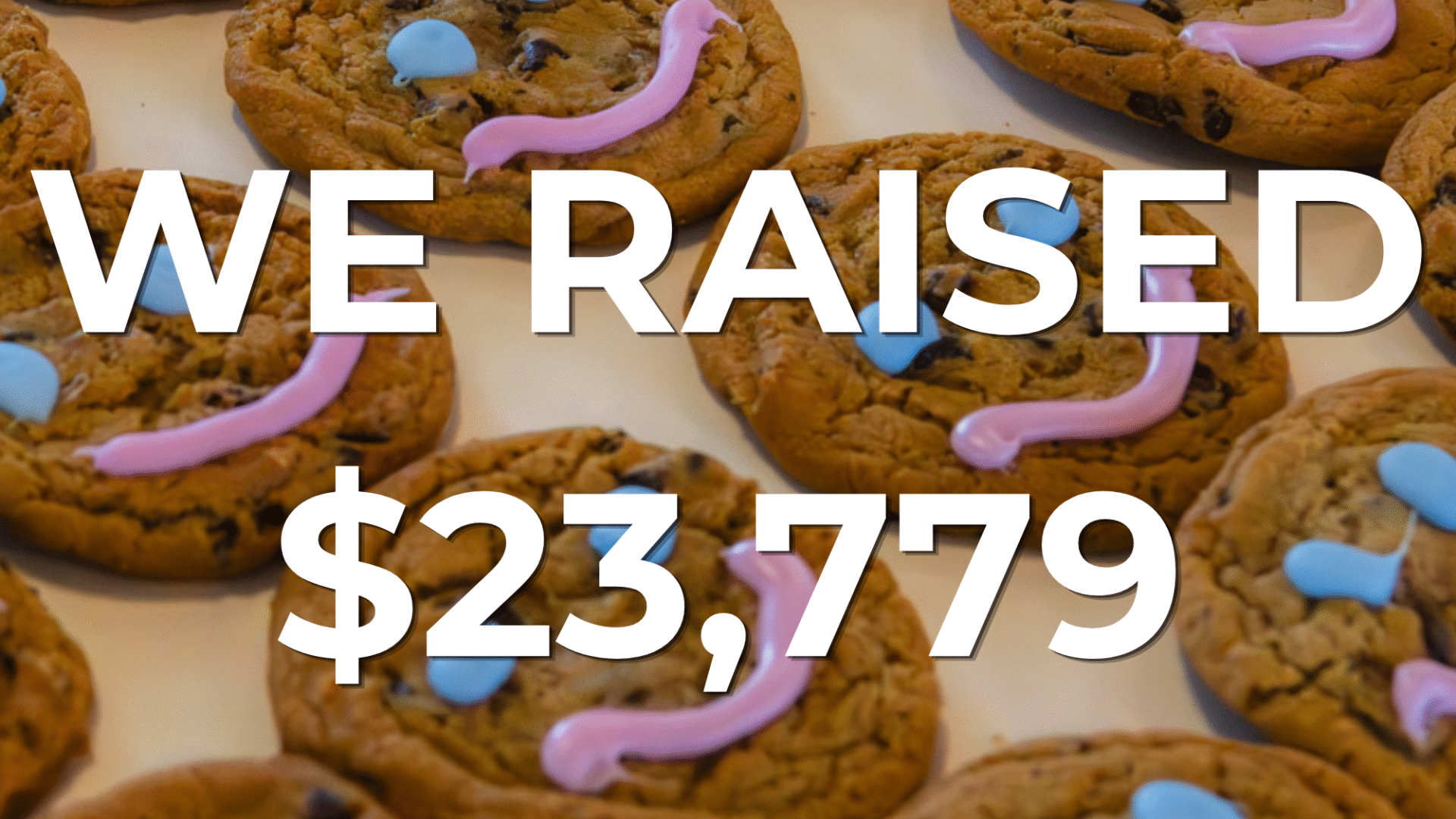 We raised $23,779 from the Smile Cookie Campaign